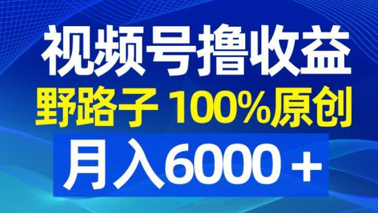 视频号野路子撸收益,100%原创,条条爆款,月入6000+