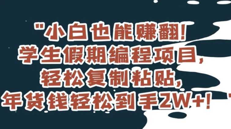 小白也能赚翻!学生假期编程项目,轻松复制粘贴,年货钱轻松到手2W+【揭秘】