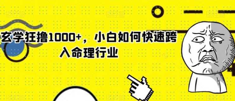 玄学狂撸1000+,小白如何快速跨入命理行业【揭秘】
