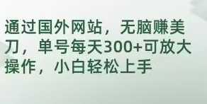 通过国外网站,无脑赚美刀,单号每天300+可放大操作,小白轻松上手【揭秘】