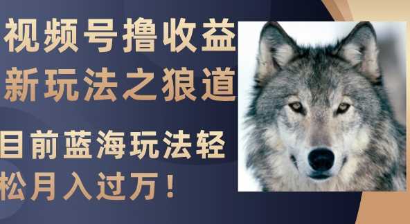 视频号撸收益新玩法之狼道,目前蓝海玩法轻松月入过万!