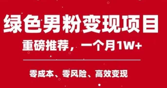 手机操作,月入1W以上副业领袖绿色男粉高客单价项目