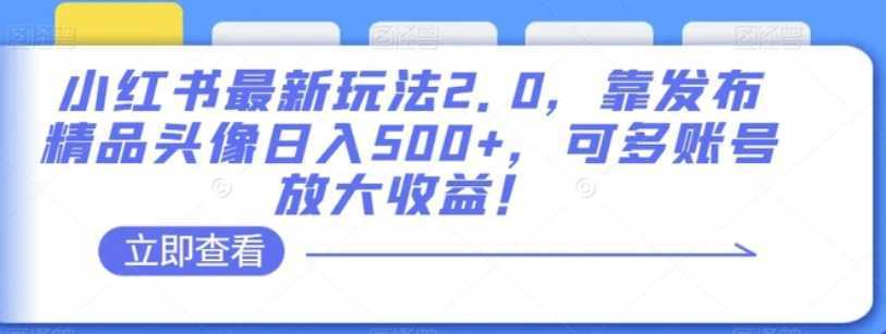 小红书最新玩法2.0,靠发布精品头像日入500+,可多账号放大收益!【揭秘】