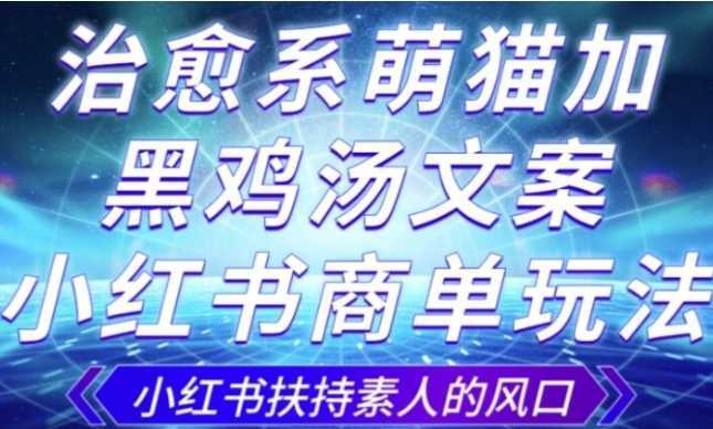 治愈系萌猫加+黑鸡汤文案,小红书商单玩法,3~10天涨到1000粉,一单200左右