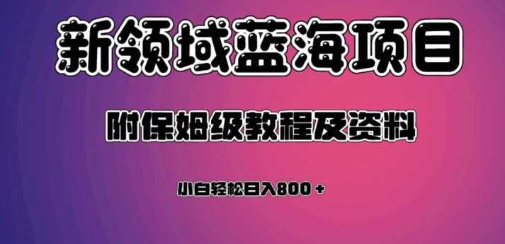 虚拟资源蓝海领域新项目,轻松日入800+,附保姆级教程及资料