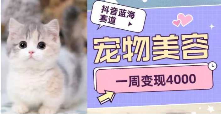 抖音蓝海赛道,宠物美容,一周变现4000