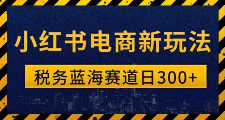 税务师小红书电商新玩法,知识撸金稳定300+