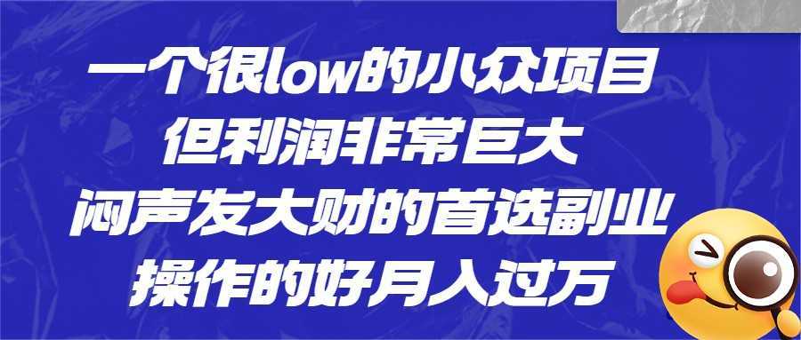 一个很low的小众项目,但利润非常巨大,闷声发大财的首选副业,月入1W+