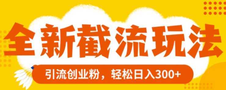 全新截流玩法,精准引流创业粉,轻松日入300+