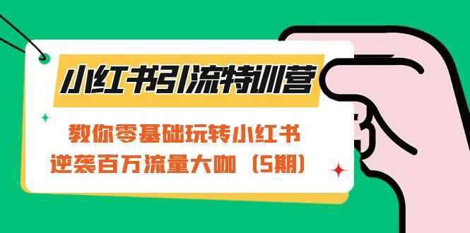 小红书引流特训营-第5期:教你零基础玩转小红书,逆袭百万流量大咖