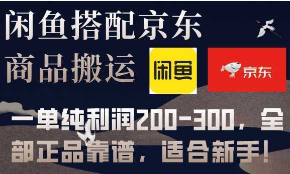 闲鱼搭配京东备份库搬运,一单纯利润200-300,全部正品靠谱,适合新手!