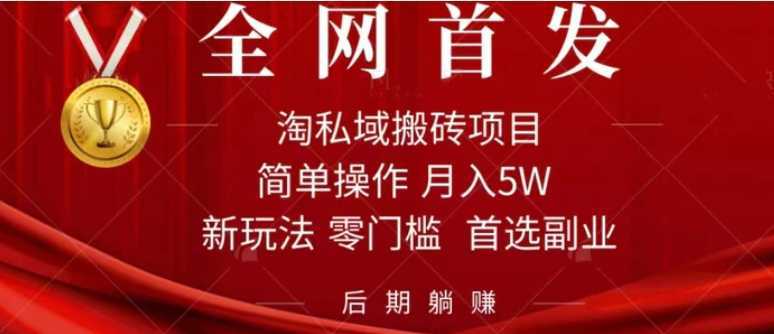 淘私域搬砖项目,利用信息差月入5W,每天无脑操作1小时,后期躺赚