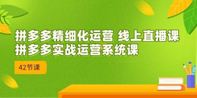 2023年8月新课-拼多多精细化运营 线上直播课:拼多多实战运营系统课-42节