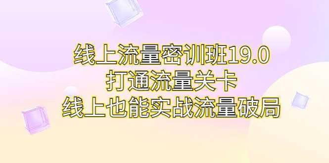 线上流量密训班19.0,打通流量关卡,线上也能实战流量破局