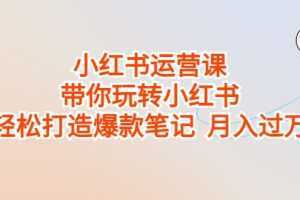 小红书运营课,带你玩转小红书,轻松打造爆款笔记 月入过万