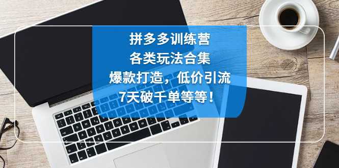 拼多多训练营:各玩法合集,爆款打造,低价引流,7天破千单等等!