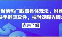 解析当前热门截流具体玩法,附赠全新快手截流软件,抗封双曝光脚本【揭秘】