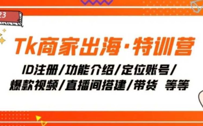 Tk商家出海·特训营:ID注册/功能介绍/定位账号/爆款视频/直播间搭建/带货